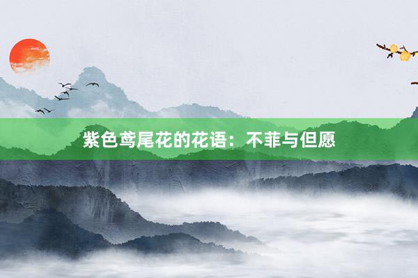 紫色鸢尾花的花语：不菲与但愿