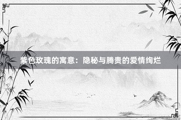 紫色玫瑰的寓意：隐秘与腾贵的爱情绚烂