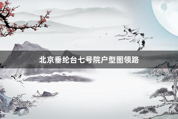 北京垂纶台七号院户型图领路